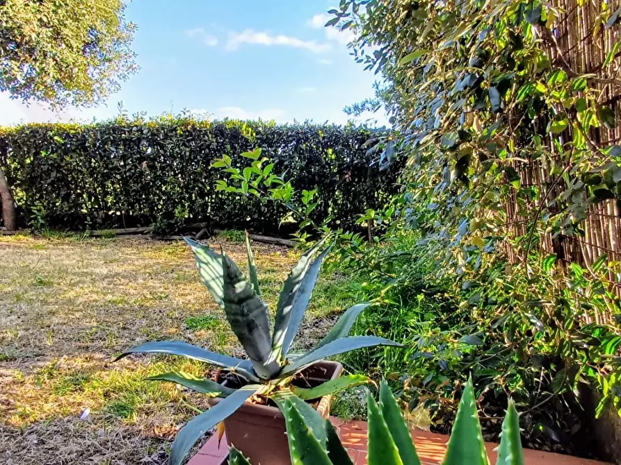 Immagine 4 di Appartamento in vendita  a Buti