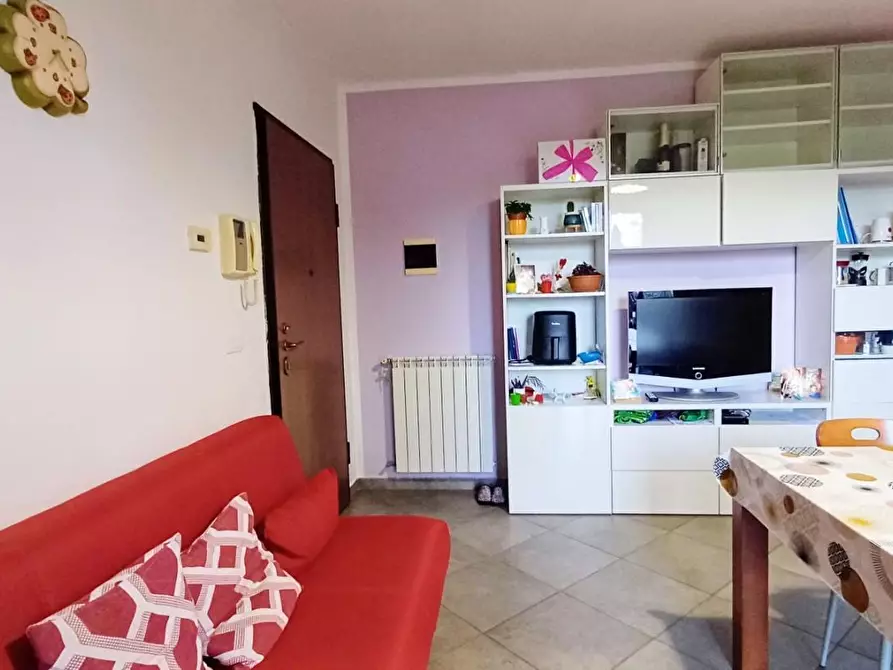 Immagine 7 di Appartamento in vendita  a Buti