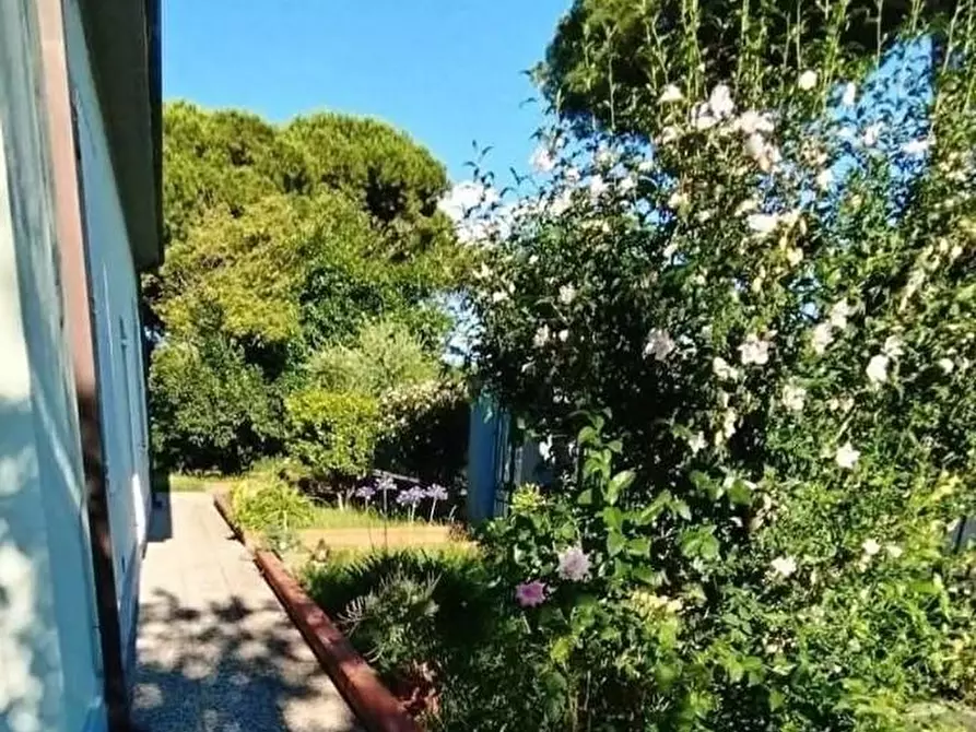 Immagine 9 di Casa indipendente in vendita  a Carrara