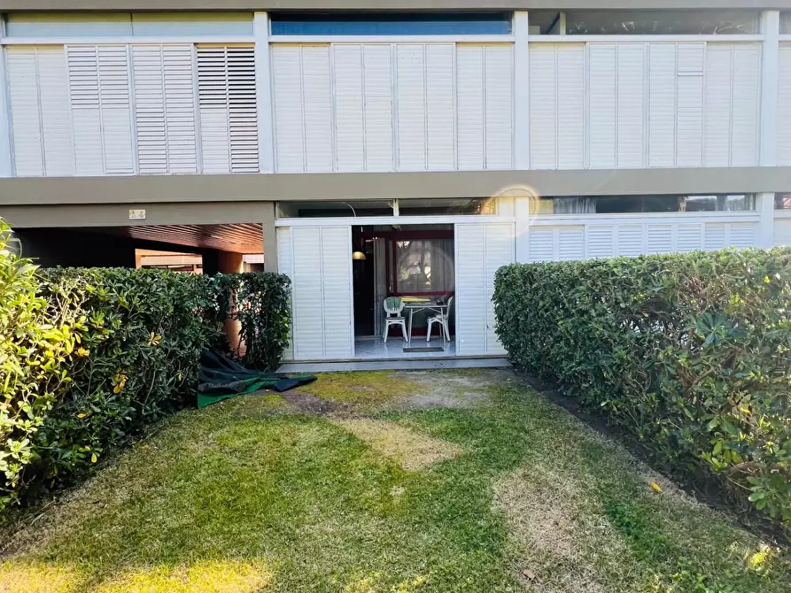 Immagine 12 di Appartamento in vendita  a Bibbona