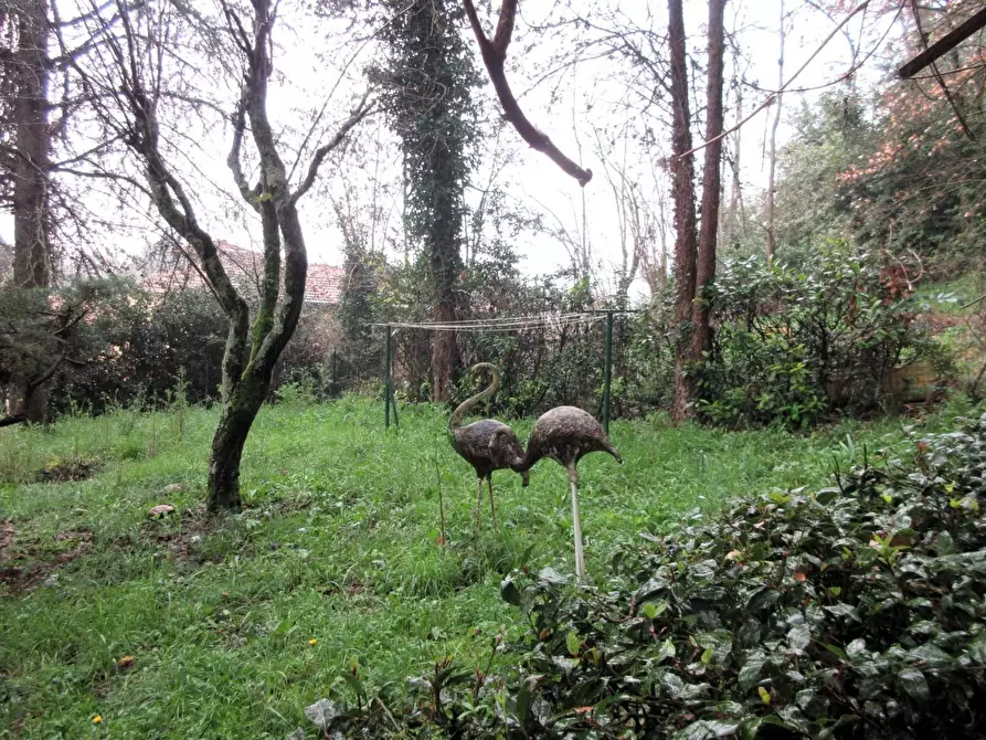 Immagine 10 di Villa in vendita  a Montelupo Fiorentino