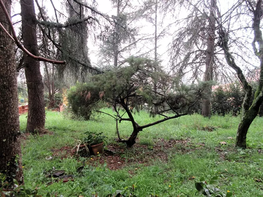 Immagine 9 di Villa in vendita  a Montelupo Fiorentino