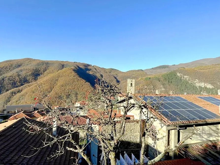 Immagine 88 di Terratetto in vendita  a Sillano Giuncugnano