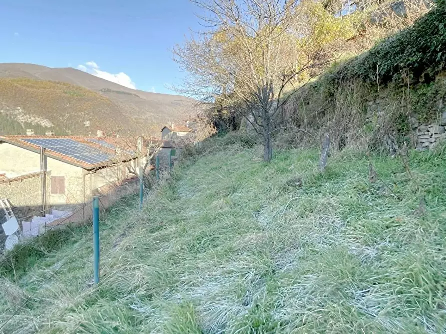 Immagine 86 di Terratetto in vendita  a Sillano Giuncugnano