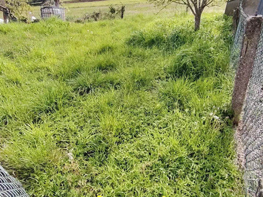 Immagine 11 di Casa bifamiliare in vendita  a Casciana Terme Lari