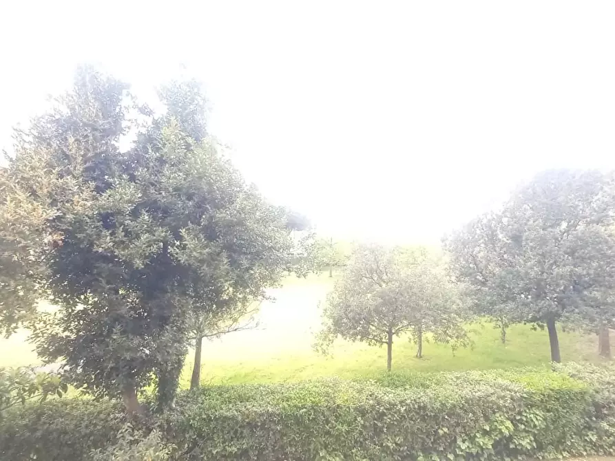 Immagine 13 di Appartamento in vendita  a Camaiore