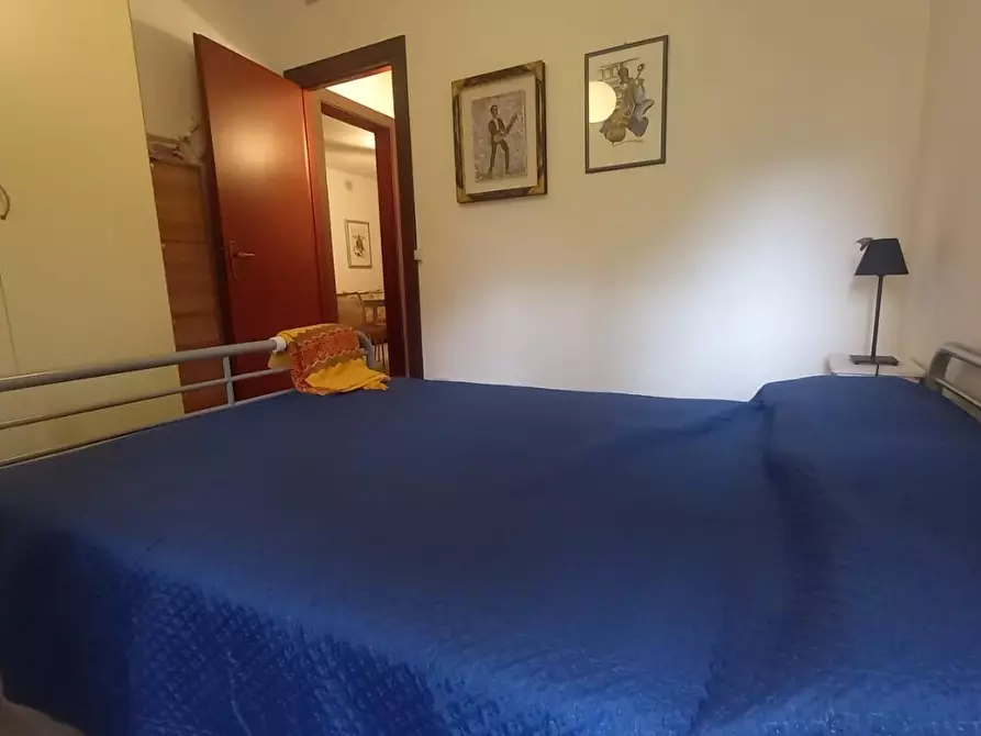 Immagine 10 di Appartamento in vendita  a Camaiore