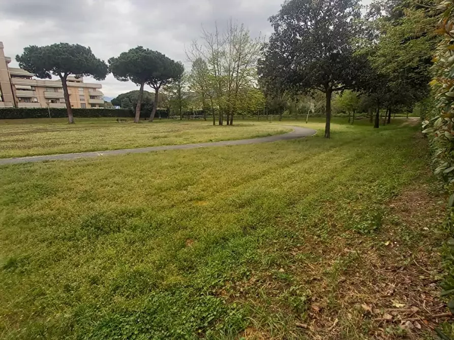 Immagine 23 di Appartamento in vendita  a Camaiore