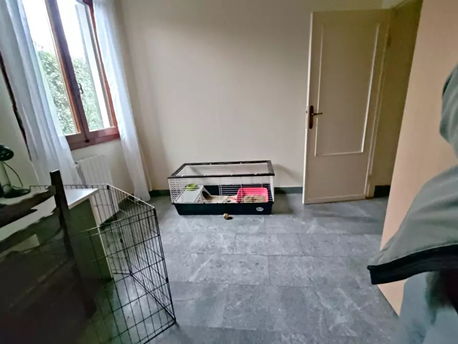 Immagine 11 di Villa in vendita  a Forte Dei Marmi