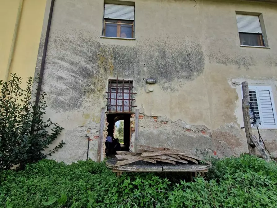 Immagine 2 di Terratetto in vendita  a Casciana Terme Lari