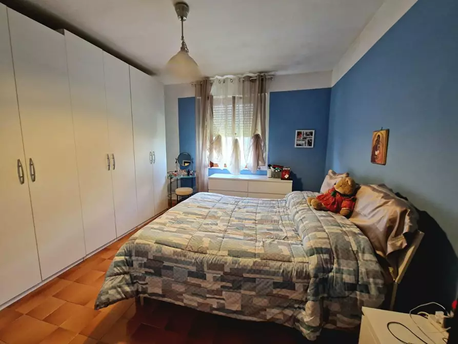 Immagine 12 di Terratetto in vendita  a Casciana Terme Lari