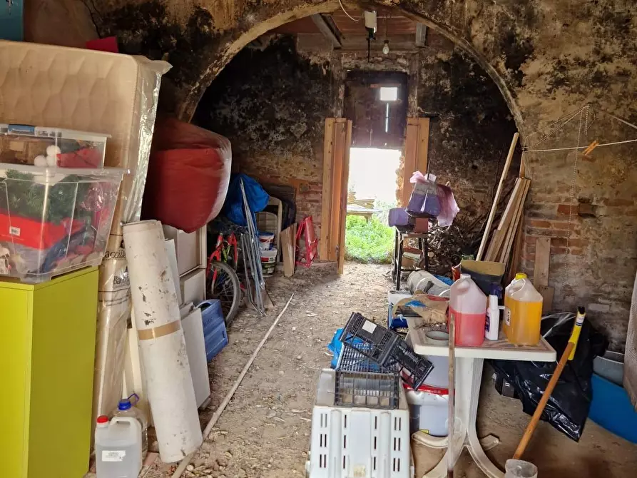 Immagine 4 di Terratetto in vendita  a Casciana Terme Lari