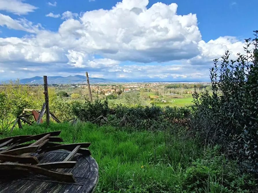 Immagine 3 di Terratetto in vendita  a Casciana Terme Lari