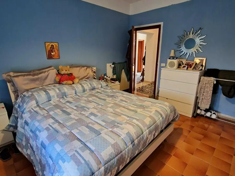 Immagine 13 di Terratetto in vendita  a Casciana Terme Lari