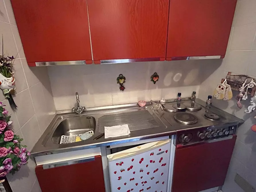 Immagine 5 di Appartamento in vendita  a Bibbona