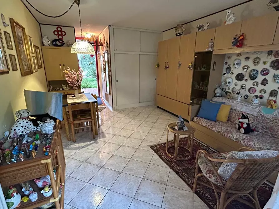 Immagine 2 di Appartamento in vendita  a Bibbona