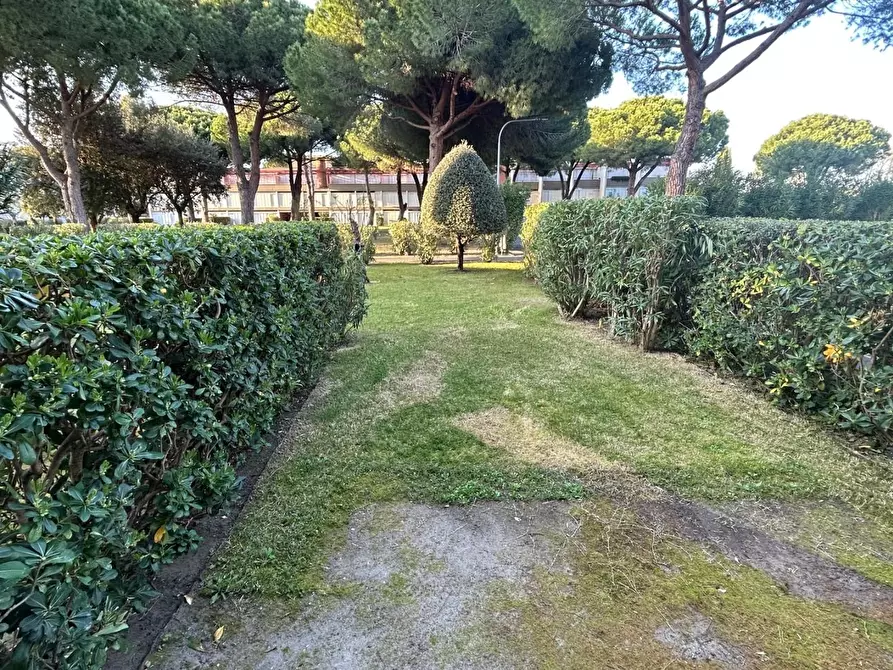 Immagine 9 di Appartamento in vendita  a Bibbona