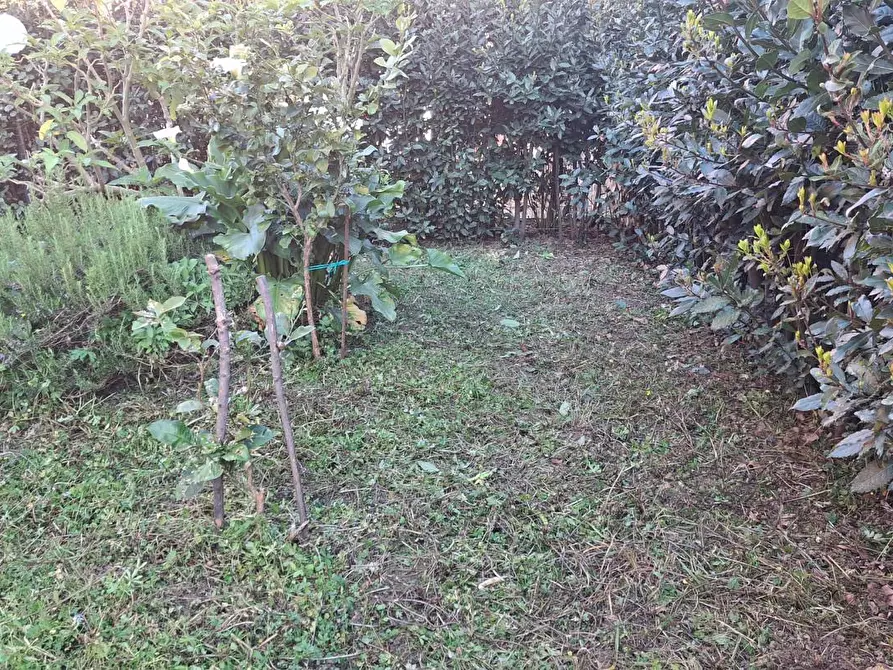 Immagine 5 di Casa bifamiliare in vendita  a Vecchiano