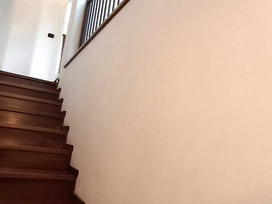 Immagine 11 di Casa bifamiliare in vendita  a Vecchiano