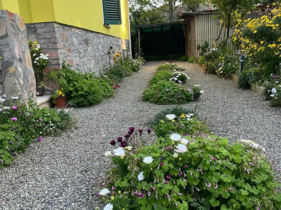 Immagine 1 di Villa in vendita  a Ponsacco