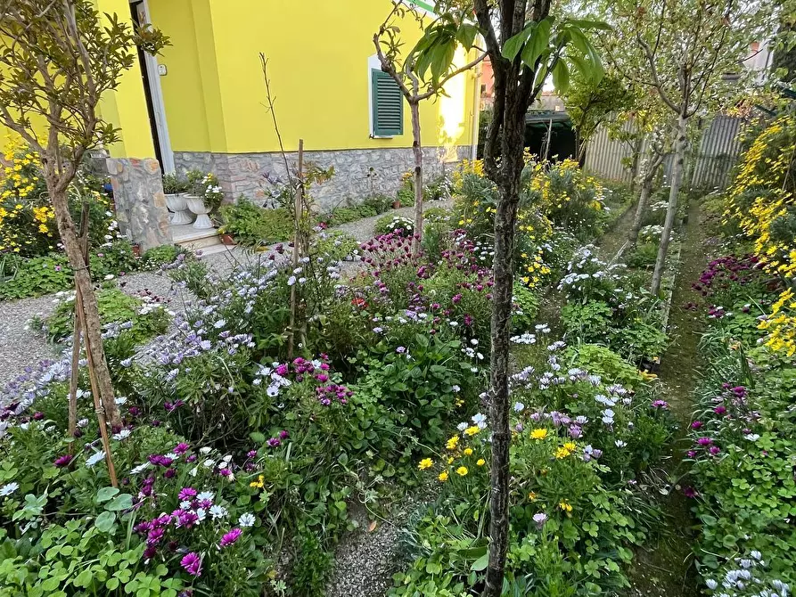 Immagine 2 di Villa in vendita  a Ponsacco