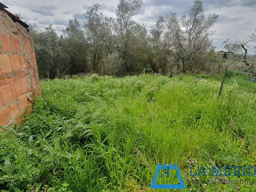 Immagine 4 di Terratetto in vendita  a Lamporecchio
