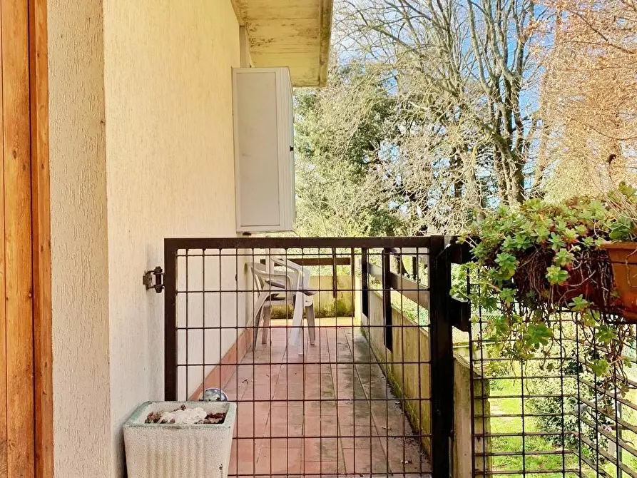 Immagine 14 di Appartamento in vendita  a Montaione