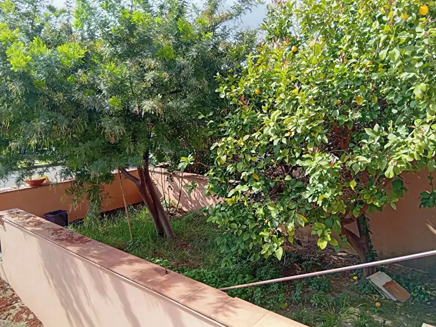 Immagine 2 di Villetta a schiera in vendita  a Pisa