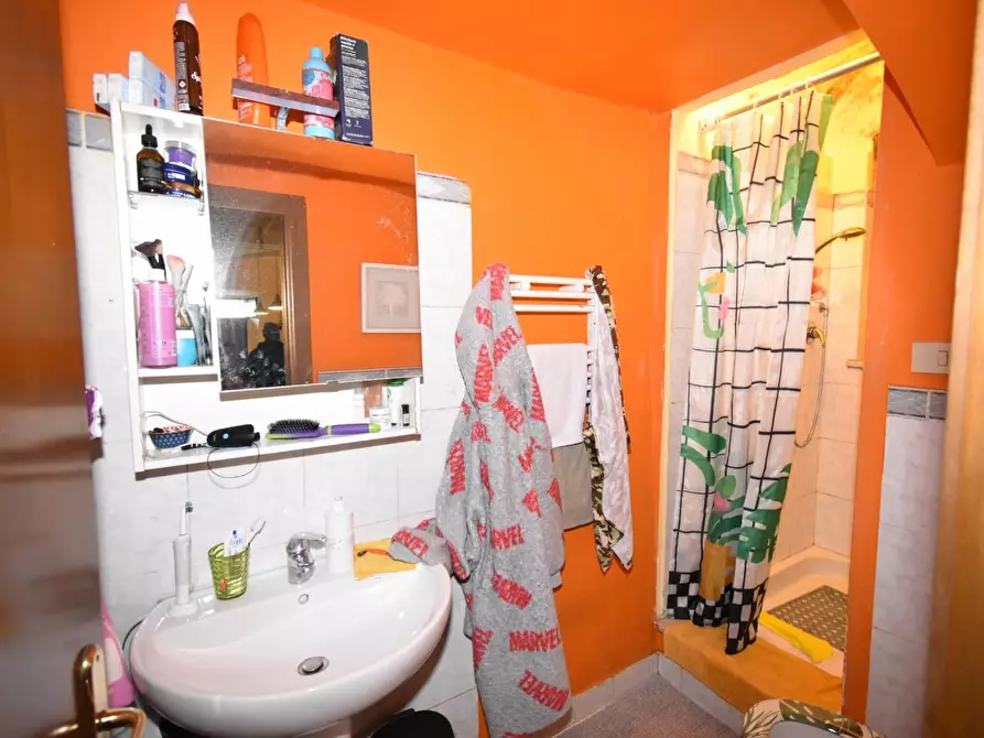 Immagine 36 di Appartamento in vendita  a San Giuliano Terme