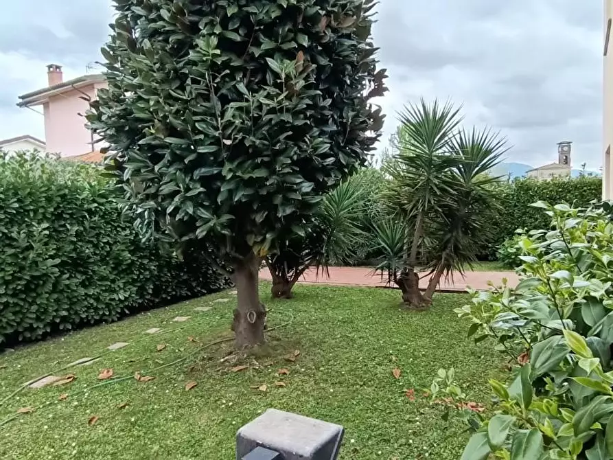 Immagine 2 di Casa bifamiliare in affitto  a San Giuliano Terme