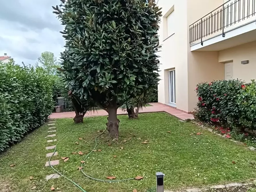 Immagine 3 di Casa bifamiliare in affitto  a San Giuliano Terme