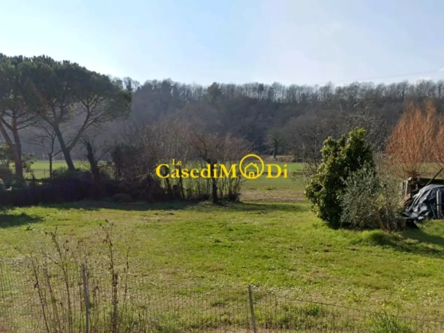 Immagine 8 di Rustico / casale in vendita  a Crespina Lorenzana