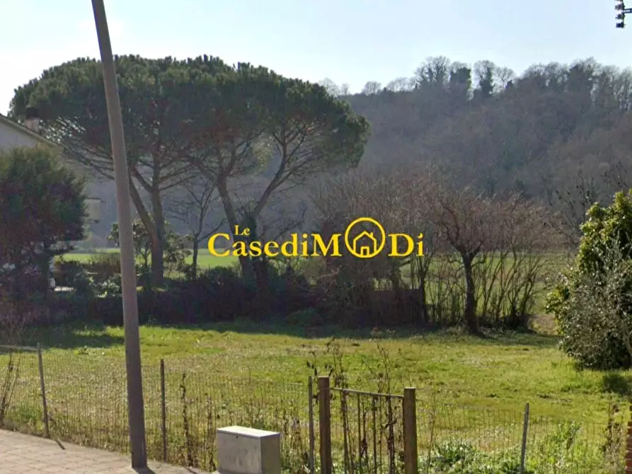 Immagine 7 di Rustico / casale in vendita  a Crespina Lorenzana