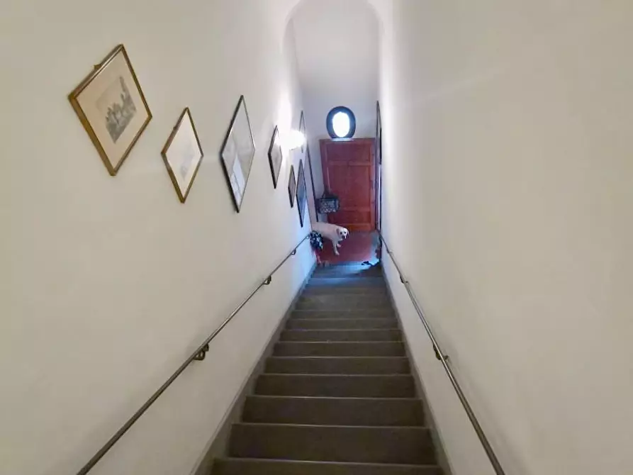 Immagine 59 di Rustico / casale in vendita  a San Giuliano Terme