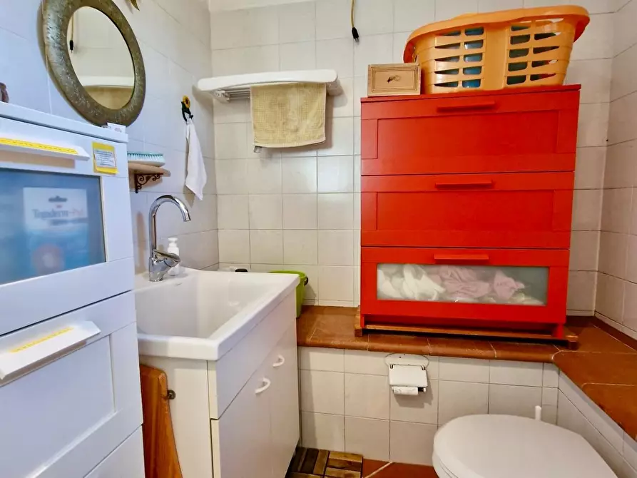 Immagine 29 di Terratetto in vendita  a Crespina Lorenzana