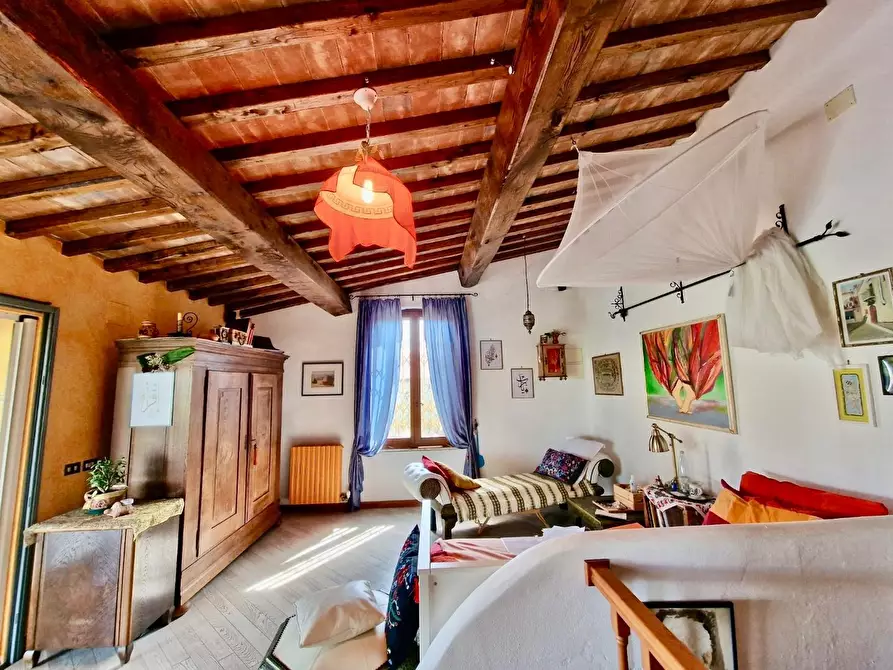 Immagine 52 di Terratetto in vendita  a Crespina Lorenzana