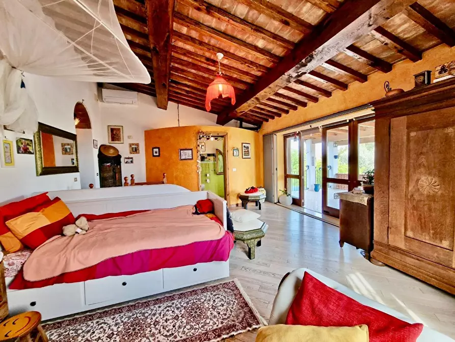 Immagine 45 di Terratetto in vendita  a Crespina Lorenzana