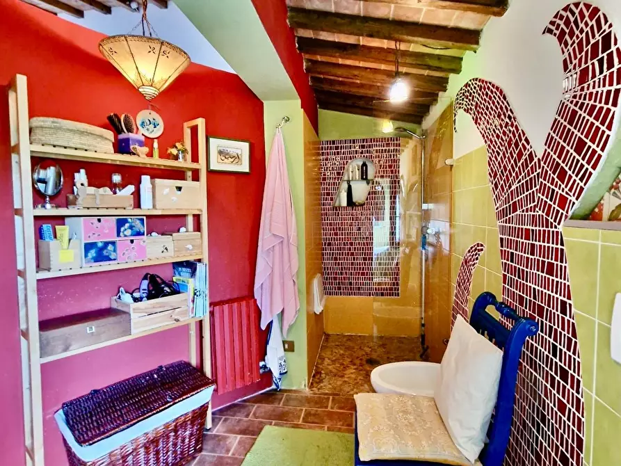 Immagine 54 di Terratetto in vendita  a Crespina Lorenzana