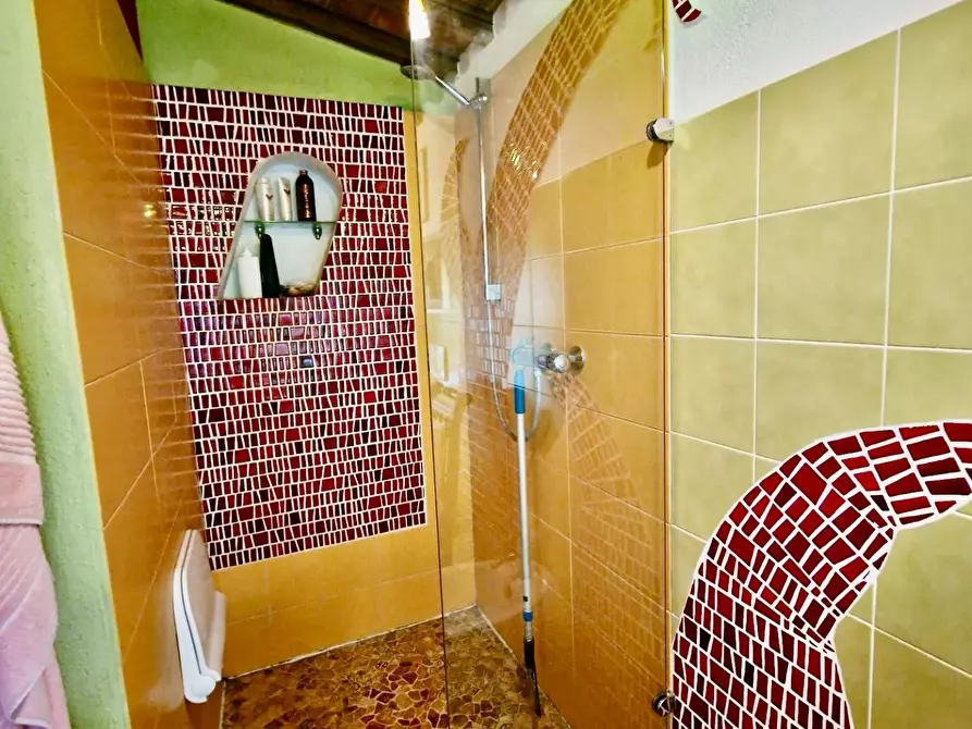 Immagine 57 di Terratetto in vendita  a Crespina Lorenzana