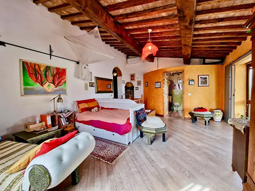 Immagine 49 di Terratetto in vendita  a Crespina Lorenzana