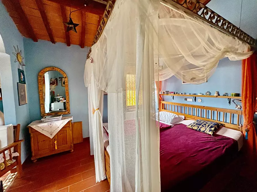 Immagine 71 di Terratetto in vendita  a Crespina Lorenzana