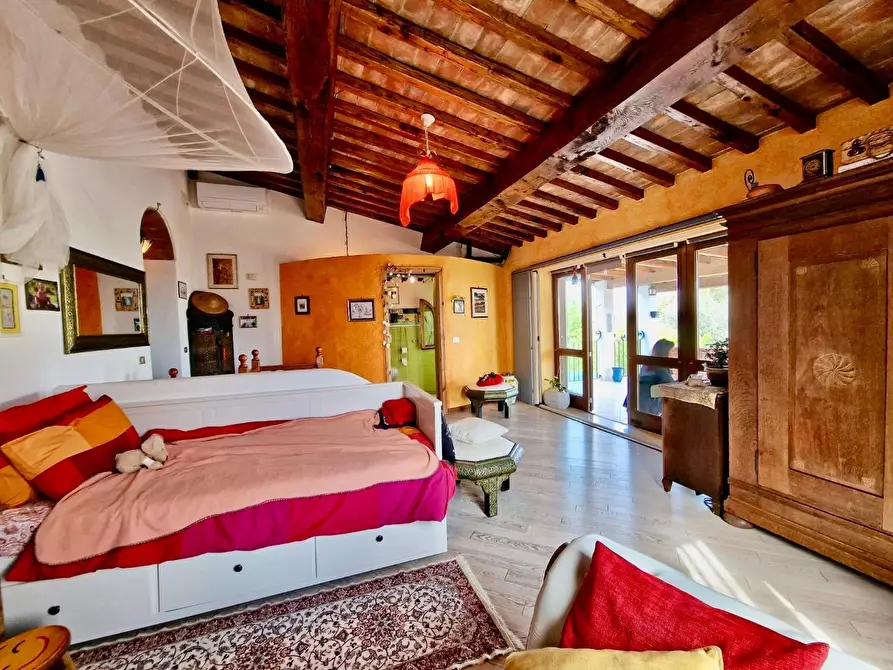 Immagine 48 di Terratetto in vendita  a Crespina Lorenzana