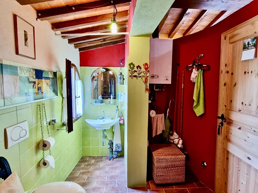 Immagine 56 di Terratetto in vendita  a Crespina Lorenzana