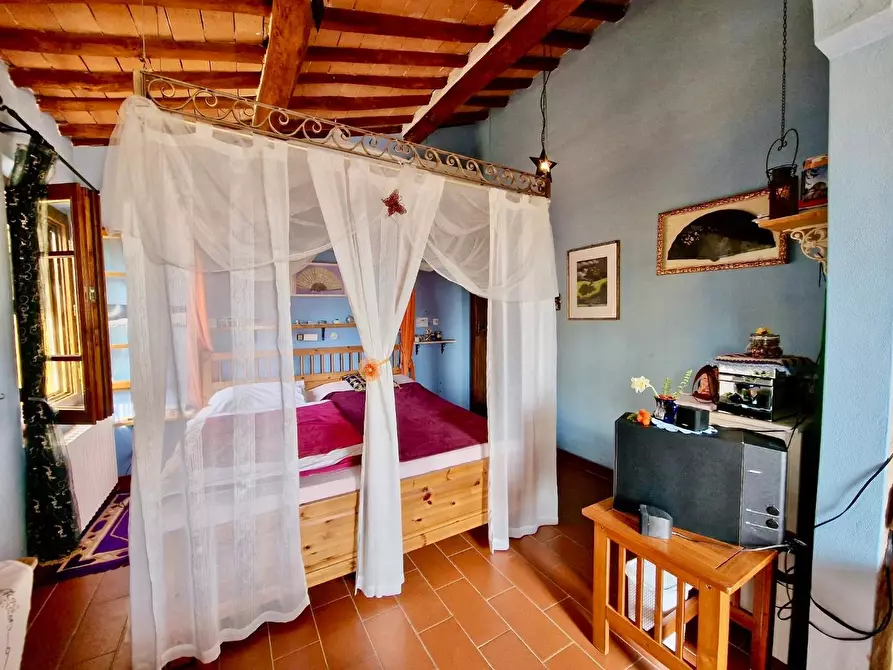 Immagine 63 di Terratetto in vendita  a Crespina Lorenzana