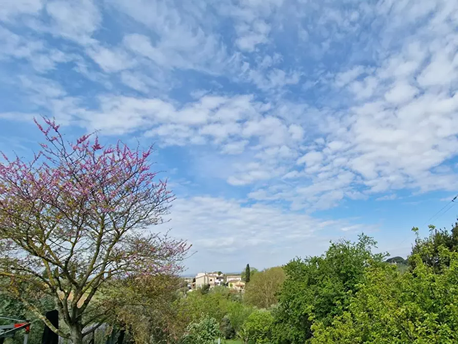 Immagine 42 di Terratetto in vendita  a Crespina Lorenzana