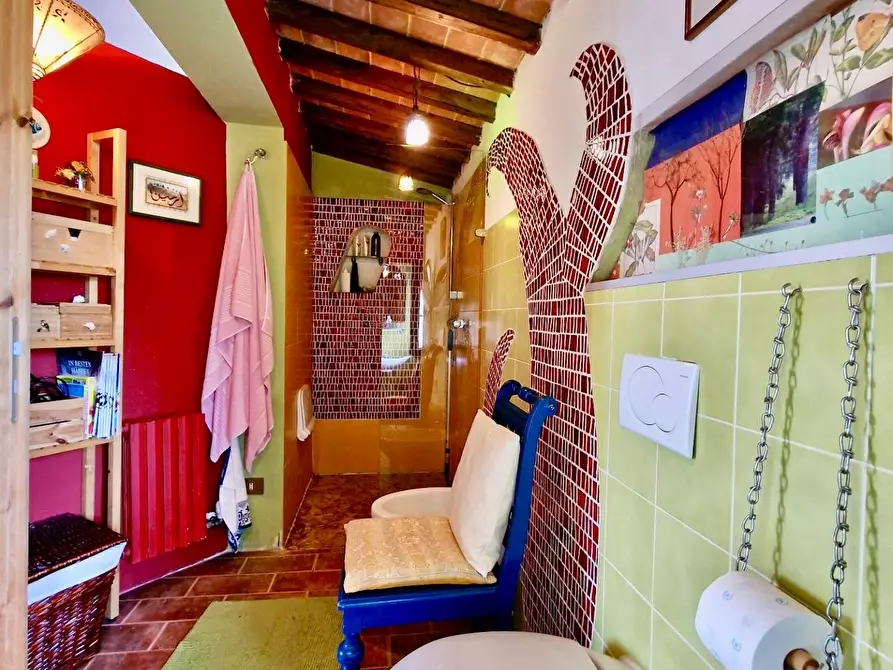 Immagine 53 di Terratetto in vendita  a Crespina Lorenzana