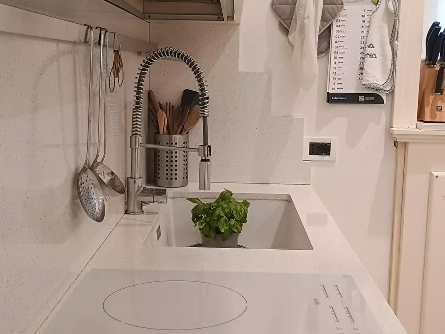 Immagine 23 di Villa in vendita  a Camaiore