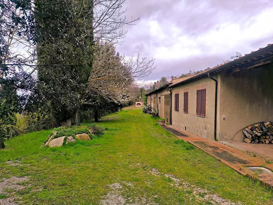 Immagine 31 di Casa colonica in vendita  a Rapolano Terme