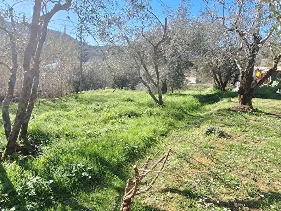 Immagine 14 di Appartamento in vendita  a Borgo A Mozzano