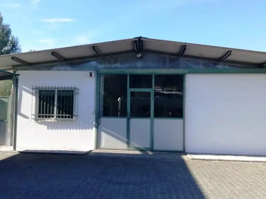 Immagine 1 di Attività artigianale in affitto  a Massa